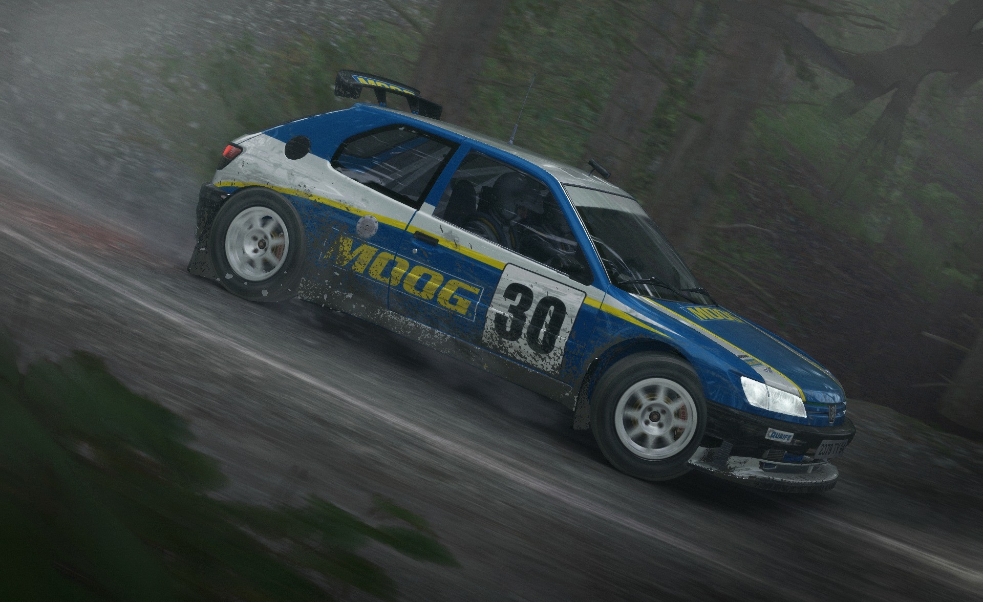 DiRT Rally - Imagen 30